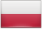 Polish Polish