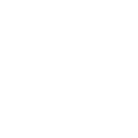 Twitter icon
